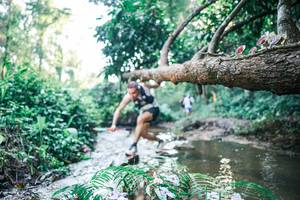 BIB: 
                            <button type="button" onclick="openModal(25432341)" class="btn btn-primary btn-sm float-right btn-popup" data-toggle="modal" data-target=".modal-high-quality">
                        <i class="fas fa-shopping-cart"></i> Add to Cart
                    </button>
                                            <button type="button" onclick="isThisMe(25432341, true)" class="btn btn-success btn-sm float-right btn-popup btn-isme hidden" data-toggle="tooltip" data-placement="bottom" title="นี่คือรูปของคุณใช่ไหม คลิกที่นี่เพื่อเอาเข้าอัลบั้ม">
                        <i class="fas fa-plus"></i> Add to album
                    </button>
                    <button type="button" onclick="isThisMe(25432341, false)" class="btn btn-warning btn-sm float-right btn-popup btn-isnotme hidden">
                        <i class="fas fa-ban"></i> Remove from album
                    </button>